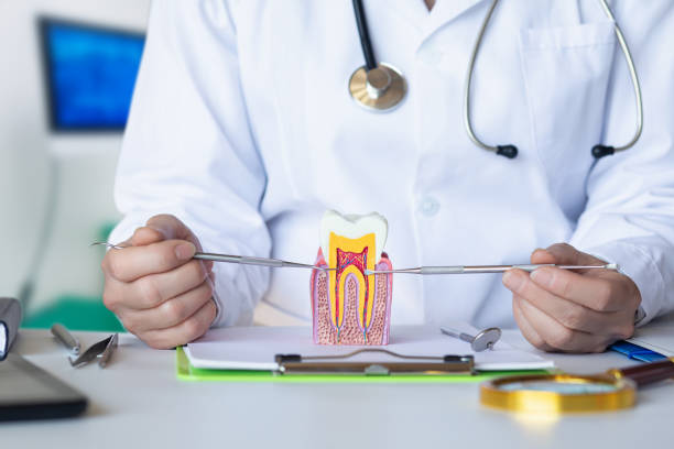 Best Emergency TMJ Treatment in Sam Rayburn, TX